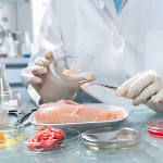 La carne rossa classificata come cancerogena dall'OMS